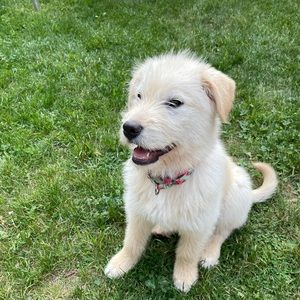 Meet your Posher, Pascale